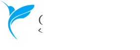 Logo skyward